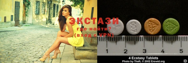 индика Краснослободск