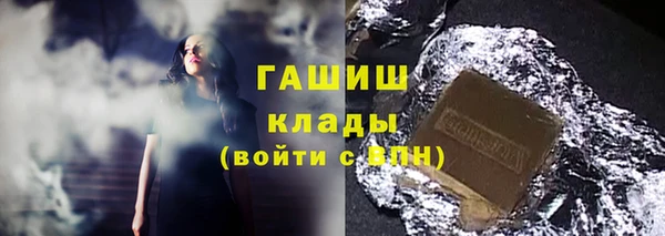 индика Краснослободск