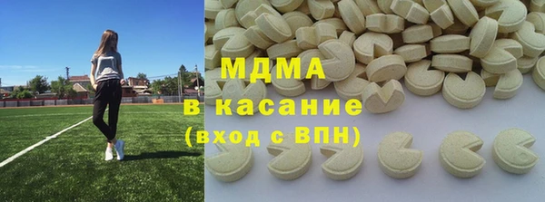 индика Краснослободск