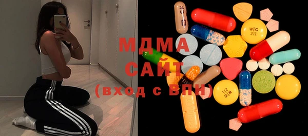 индика Краснослободск
