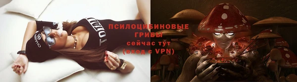 МДПВ Коряжма