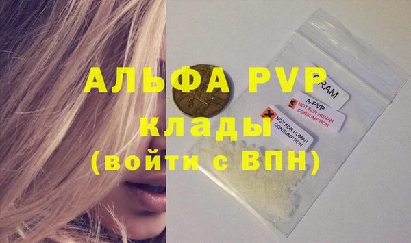 индика Краснослободск