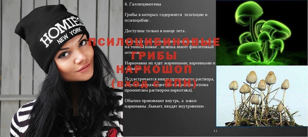 индика Краснослободск