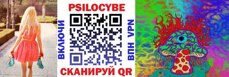Псилоцибиновые грибы Psilocybe  закладки  Сковородино 